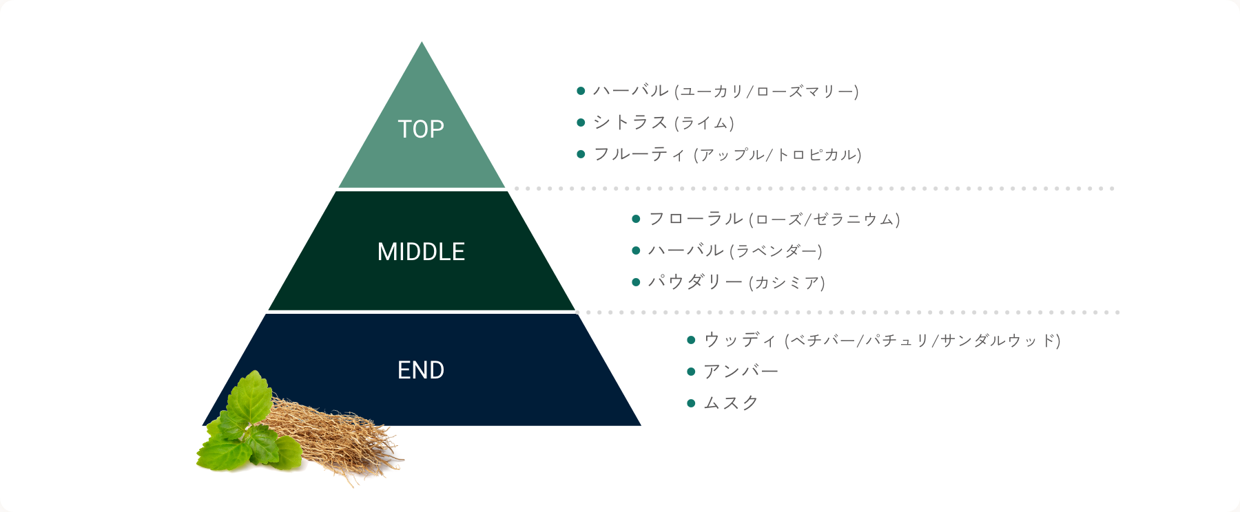 ハーバル (ユーカリ/ローズマリー) シトラス (ライム) フルーティ (アップル/トロピカル) フローラル (ローズ/ゼラニウム) ハーバル (ラベンダー) パウダリー (カシミア) ウッディ (ベチバー/パチュリ/サンダルウッド) アンバー